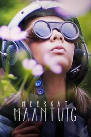 Poster Meerkat Moonship 2018