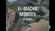 Episode 14