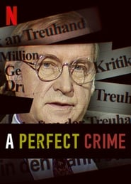 A Perfect Crime постер