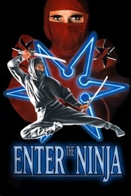 Enter the Ninja