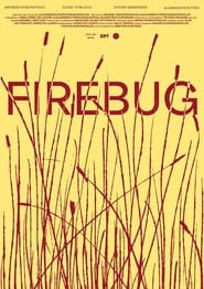 Poster Firebug