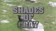 Shades of Gray