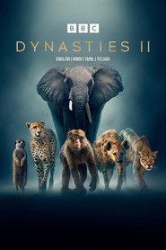 Dynasties Dynasties II 6