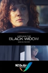 Catching the Black Widow постер