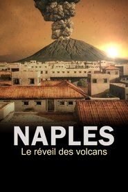 Poster The Next Pompeii? 2019