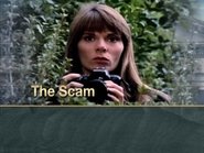 The Scam (1)