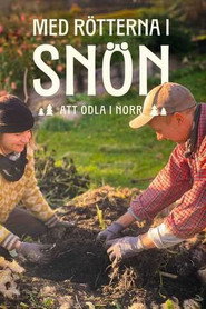 Med rötterna i snön