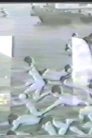Poster Diversion 1990
