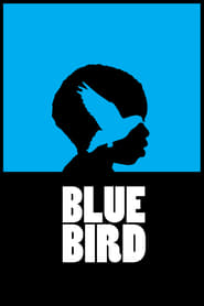 Blue Bird 2011