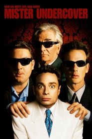 Mister Undercover (2001)