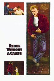 Poster Rebel Without a Cause 1955