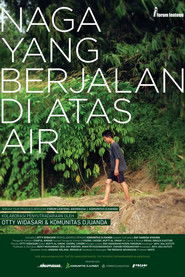 The Dragon Who Walks on the Water