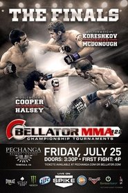 Poster Bellator 122 2014