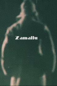 Poster Zamallu