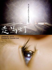 Revolving Lanterns poster