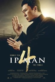 Ip Man 4 The Finale Hindi Dubbed 2019 Ip Man 4 The Finale Hindi Dubbed 2019