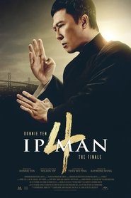 Ip Man 4: The Finale ( 2020 )