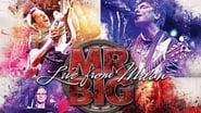 Mr. Big - Live from Milan en streaming