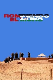 Breaking the wall (2021)