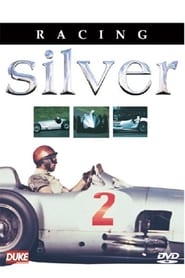 Poster Racing Silver