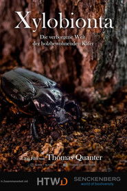 Xylobionta - die verborgene Welt der holzbewohnenden K&auml;fer (2024)