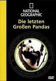 Poster National Geographic - Die letzten Großen Pandas 2006