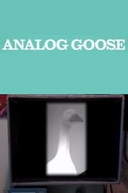 Poster Analog Goose
