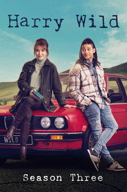 Harry Wild Series 3 2