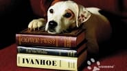 Wishbone en streaming