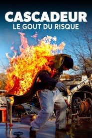 Cascadeur : le goût du risque streaming