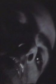 Nocturnes
