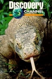 Poster Dragons of Komodo 1970