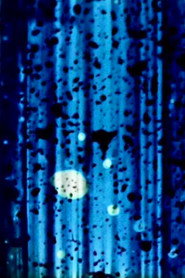 Poster for NO. 5