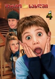 მარტო სახლში 4 (2002)