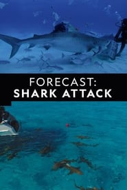 Forecast Shark Attack streaming