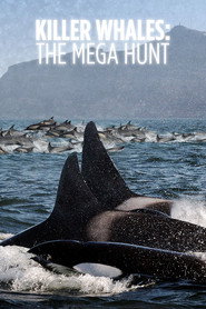 Killer Whales: The Mega Hunt постер