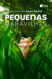Pequenas Maravilhas — Temporada 2