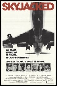 Skyjacked 1972 مشاهدة وتحميل فيلم مترجم بجودة عالية