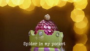 Spider in My Pocket