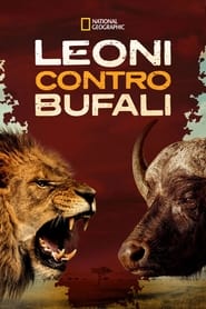 Blood Rivals: Lion vs Buffalo