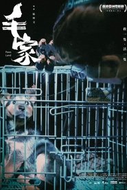毛家