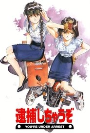 Assistir You're Under Arrest Online