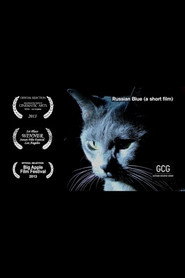 Russian Blue