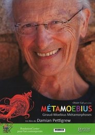 MetaMoebius) MetaMoebius (2010)