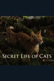 The Secret Life of Cats (2014)