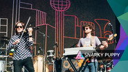 Snarky Puppy