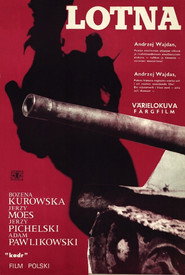 Льотна постер