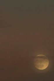 Poster Two Moons 2019