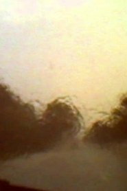 Venezia 70 - Future Reloaded, Apichatpong Weerasethakul (2013)