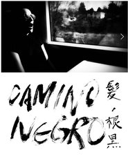 Poster Camino Negro 2013